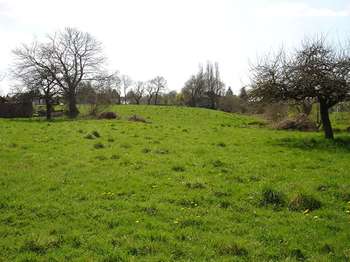 Vente de terrain Limerzel 56