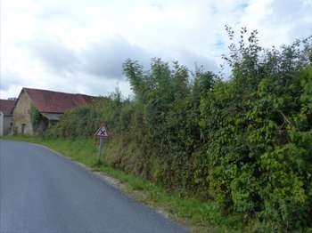 Vente de terrain