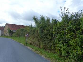 Vente de terrain
