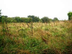 Vente Terrain 800 m&sup2;Locmalo