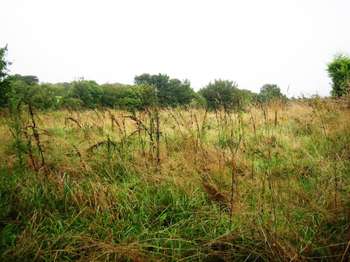 Vente de terrain Locmalo 56