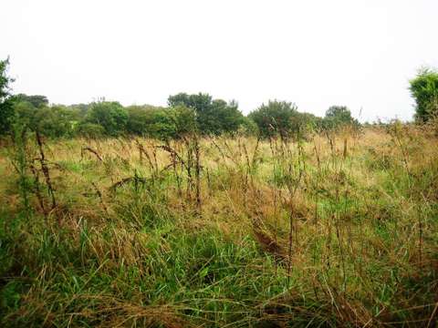 Vente de terrain Locmalo 56