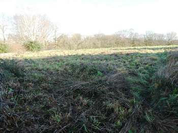 Vente de terrain