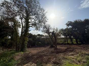 Vente Terrain 1714 m&sup2;Locmaria-Plouzané