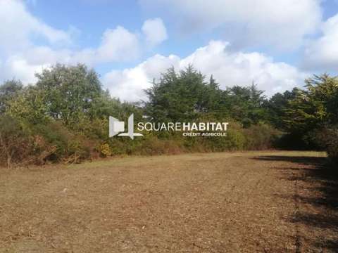 Vente de terrain