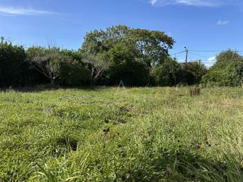 Vente de terrain