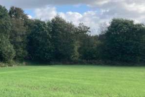 Photo Vente de terrain Locronan