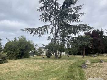 Vente de terrain Loireauxence 44