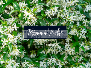 Vente Terrain 1200 m&sup2;Loix