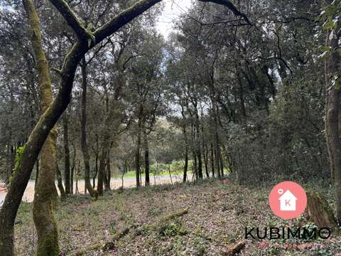 Vente de terrain
