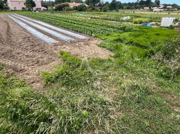 Vente Terrain 1733 m&sup2;Longeville-sur-Mer