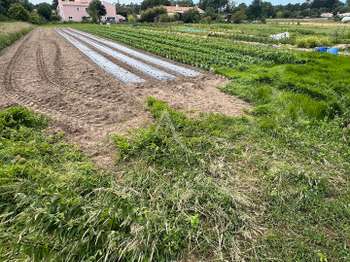 Vente de terrain