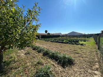Vente de terrain Longeville-sur-Mer 85