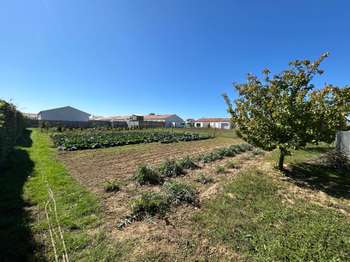 Vente de terrain