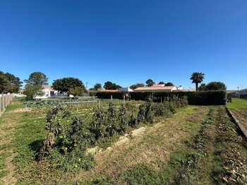 Vente de terrain