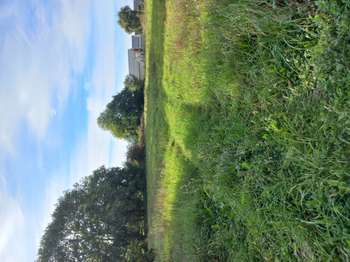 Vente Terrain 669 m&sup2;Loscouët-sur-Meu