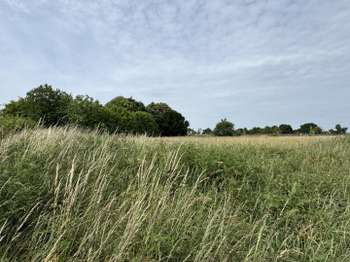 Vente Terrain 823 m&sup2;Loudéac