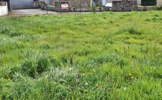 Photo Vente de terrain Louisfert