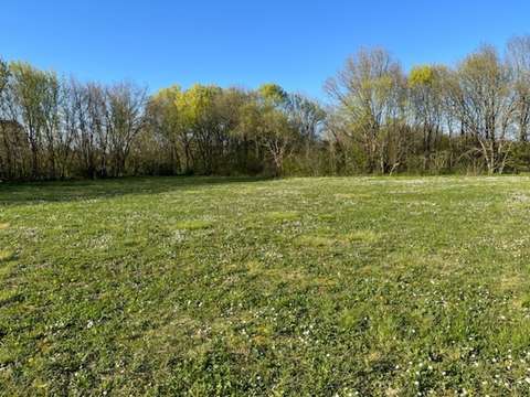 Vente de terrain Loulay 17