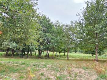 Photo Vente de terrain Loyat