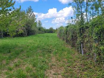 Vente de terrain
