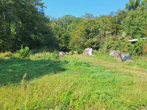 Vente Terrain 1667 m&sup2;Luant