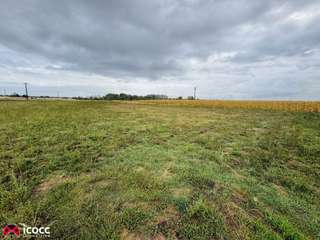 Vente de terrain