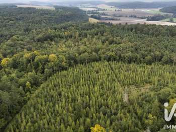 Vente Terrain 9200 m&sup2;Lugos