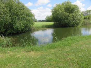 Vente de terrain Machecoul 44