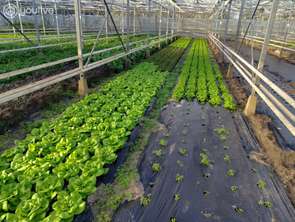 Vente Terrain 7500 m&sup2;Machecoul