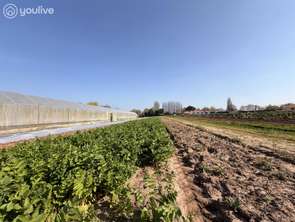 Vente Terrain 25000 m&sup2;Machecoul