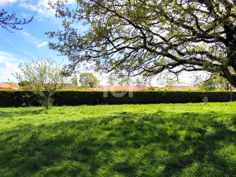 Vente de terrain