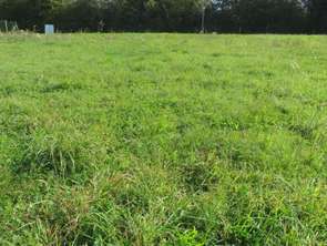 Vente Terrain 664 m&sup2;Machecoul-Saint-Même