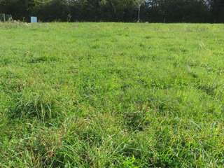 Vente de terrain