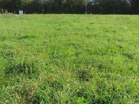 Vente de terrain Machecoul-Saint-Même 44
