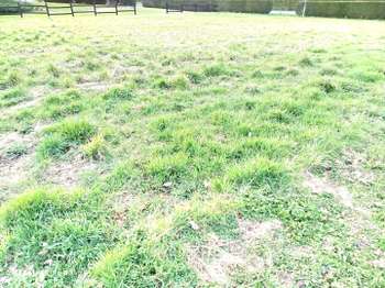 Vente de terrain Maen-Roch 35