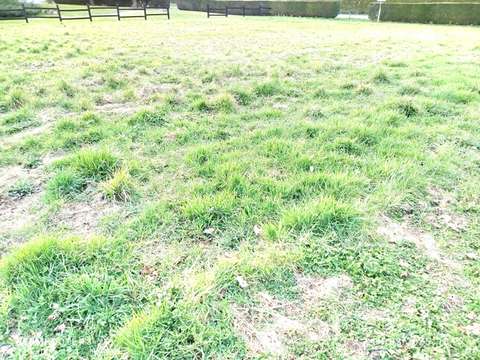 Vente de terrain Maen-Roch 35