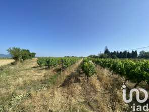 Vente Terrain 58175 m&sup2;Magalas