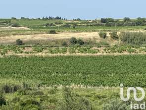 Vente Terrain 52610 m&sup2;Magalas