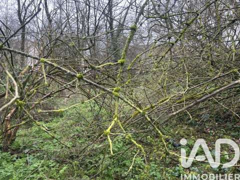 Vente de terrain