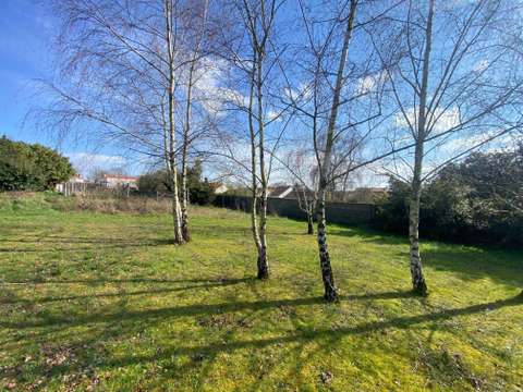 Vente de terrain
