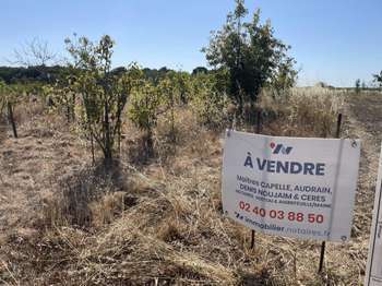 Vente de terrain Vente de terrain
