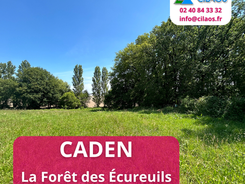 Vente de terrain Malansac 56