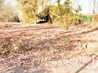 Vente de terrain