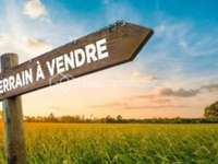 Vente de terrain