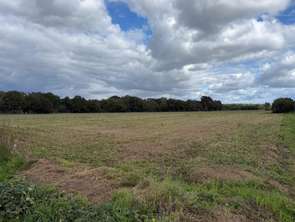 Vente Terrain 1400 m&sup2;Malestroit
