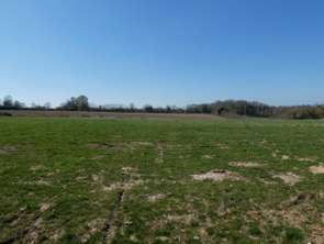 Vente Terrain 1451 m&sup2;Manerbe