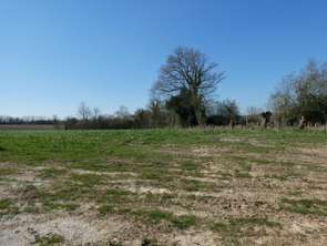 Vente Terrain 1259 m&sup2;Manerbe