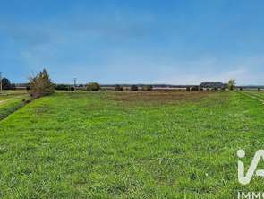 Vente Terrain 7516 m&sup2;Manthelan