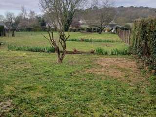 Vente de terrain